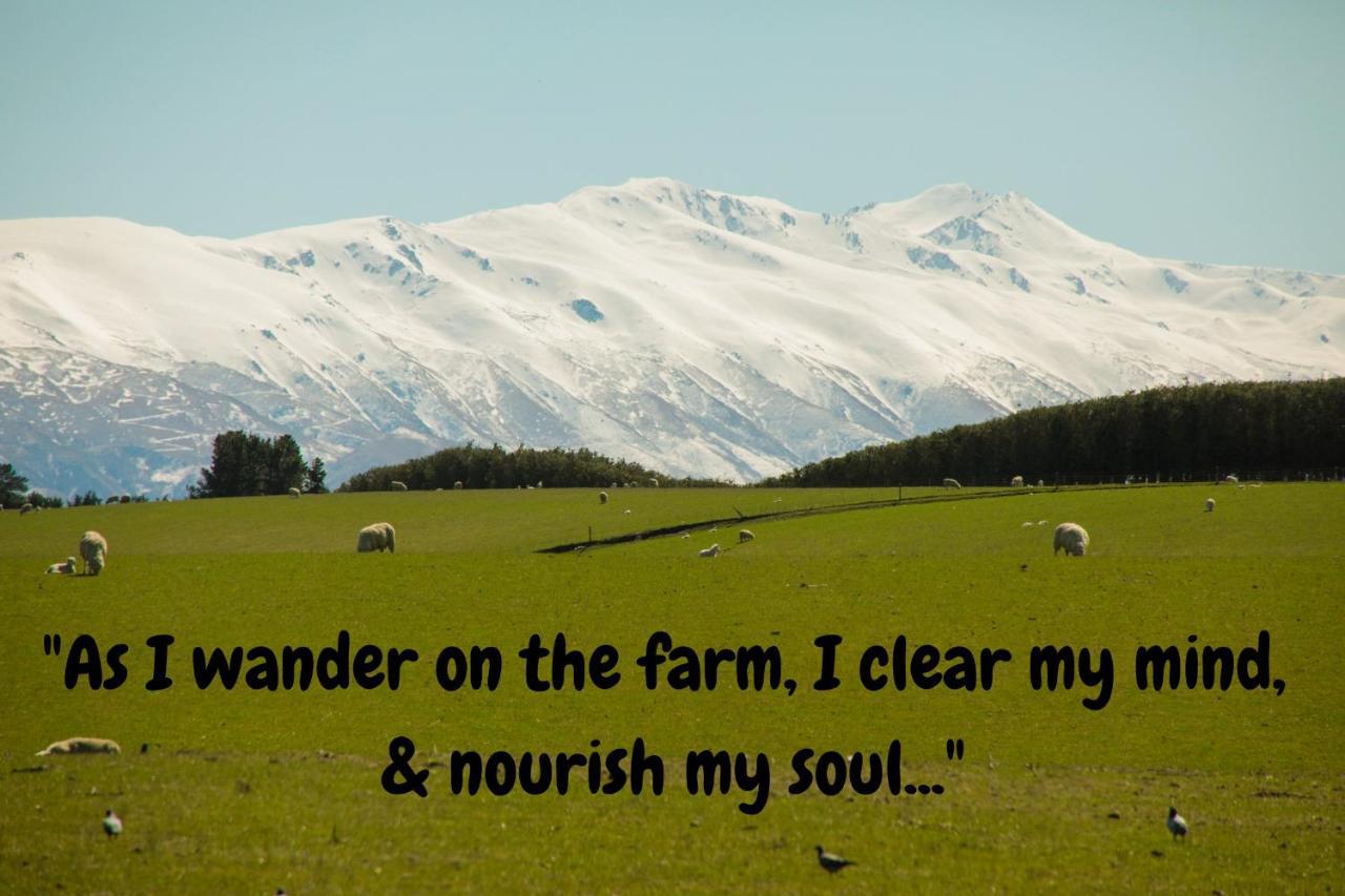 Shearvue Farmstay With Optional Free Farm Experience At 5Pm Fairlie Extérieur photo