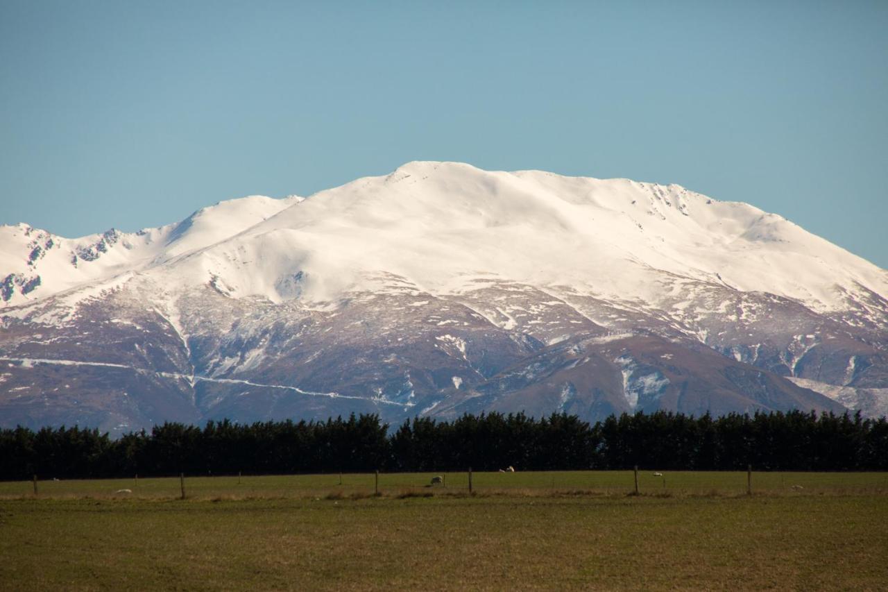 Shearvue Farmstay With Optional Free Farm Experience At 5Pm Fairlie Extérieur photo