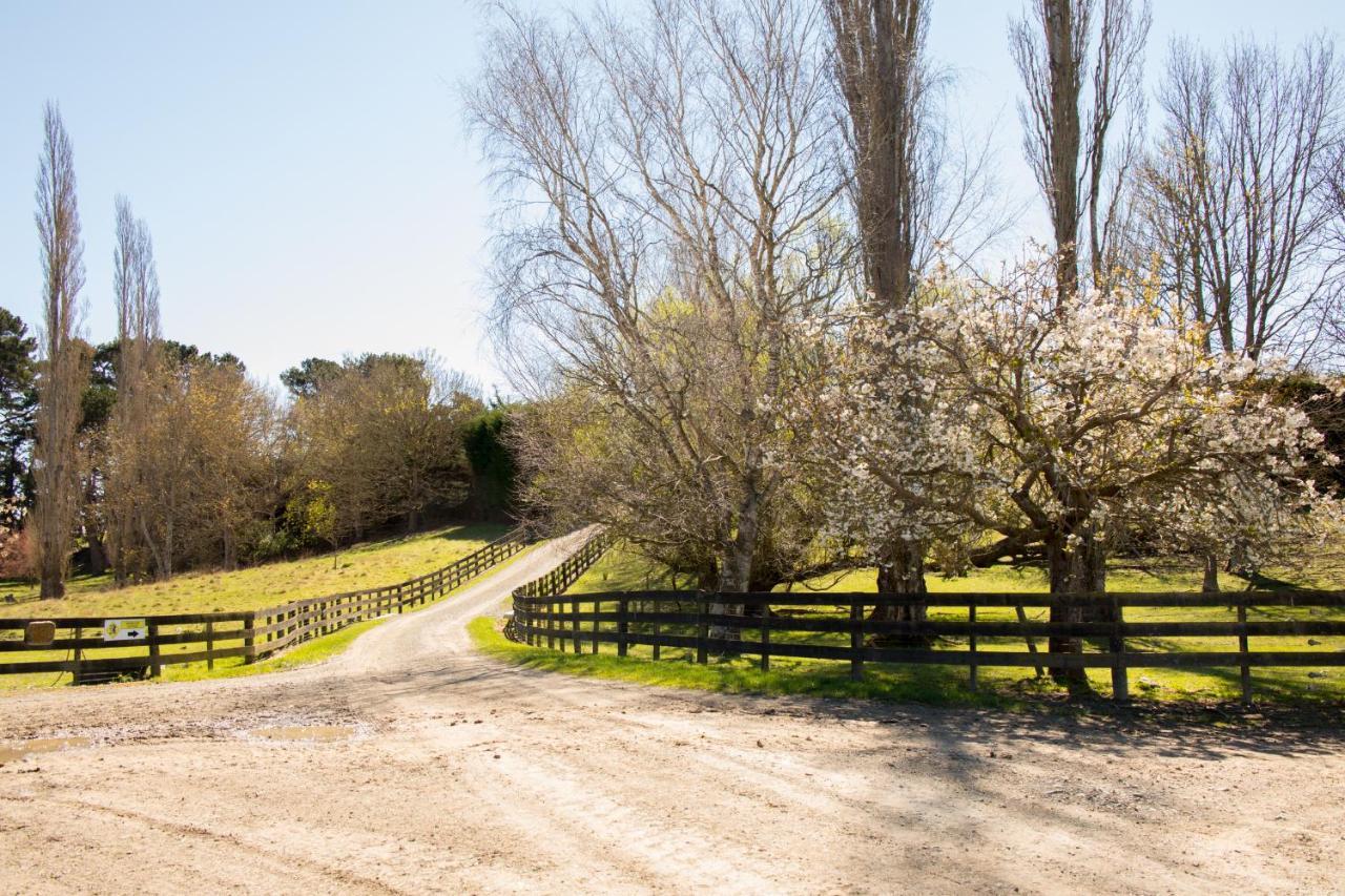 Shearvue Farmstay With Optional Free Farm Experience At 5Pm Fairlie Extérieur photo